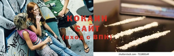 стаф Абинск