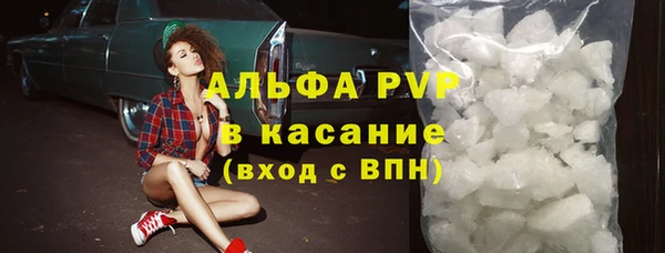 стаф Абинск