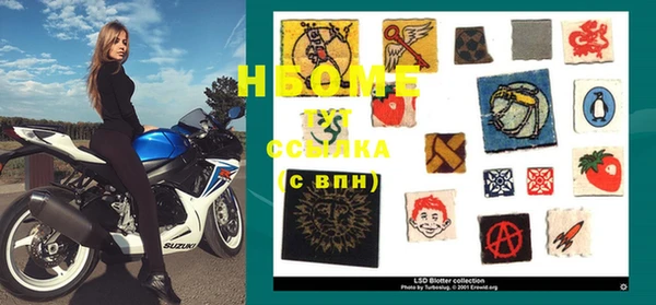 стаф Абинск