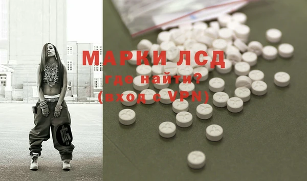стаф Абинск